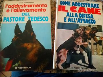 Addestramento cani