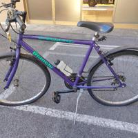 Mountain bike marca Bianchi Leopard