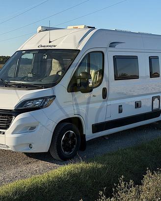 Chausson V549 Max Elegance