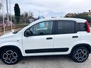 fiat-panda-1-0-gse-s-s-hybrid-street-van-4-posti