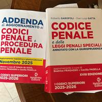 CODICE ANNOTATO DIRITTO PENALE 25/26