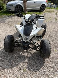 Quad 125