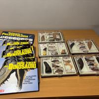 Il mondo dei Dinosauri