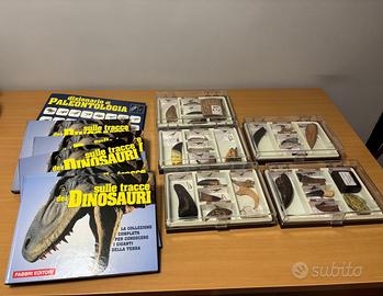 Il mondo dei Dinosauri