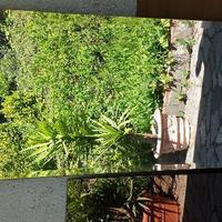 Specchio sedie mensole in cristallo mobiletto a gi