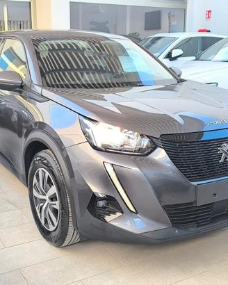 Peugeot 2008 BlueHDi 1.5 CC 110 CV S&S Active 2021