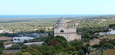 strutture immobiliari, masserie e fattorie