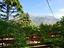 Immagine 26