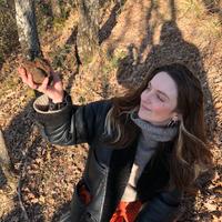 Esperienza Tartufo Assisi. Tartufaio per un giorno