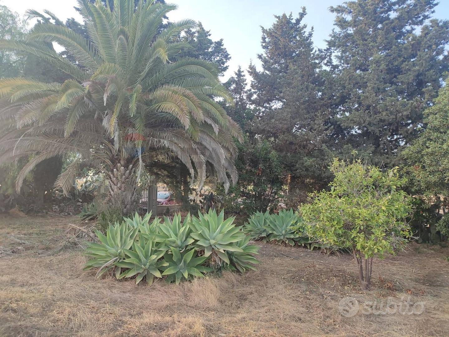 Casa – Scicli, Ragusa - Vista 3