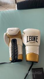 guantoni leone da boxe