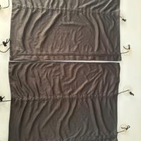 Nr. 2 Tendine parasole per auto con ventose