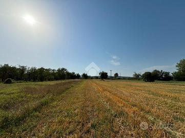 TER. AGRICOLO A DUGENTA