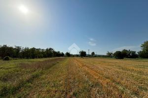 TER. AGRICOLO A DUGENTA