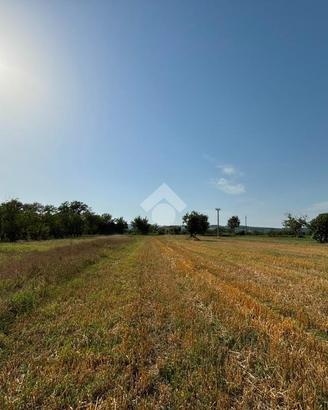TER. AGRICOLO A DUGENTA