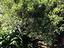 Immagine 28