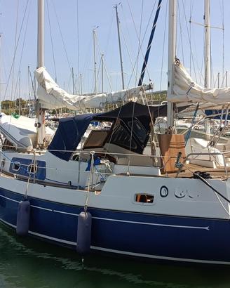Compass 31