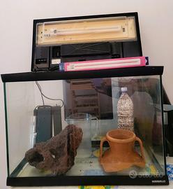 acquario MIRABELLO