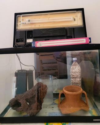 acquario MIRABELLO