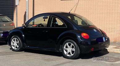 New beetle