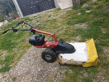 Trincia erba trazionata con marce