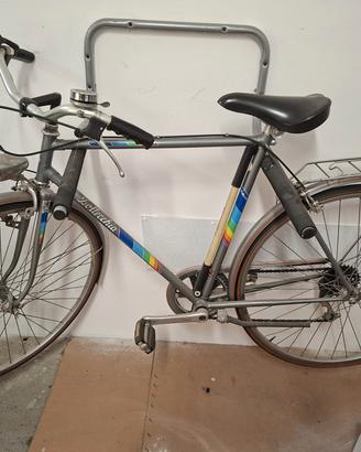bici da uomo