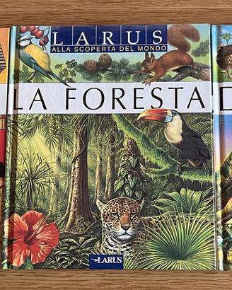 LARUS - ALLA SCOPERTA DEL MONDO
