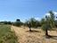 Immagine 18