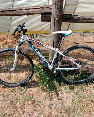 Mountain bike Cube 260 race series ragazzo 