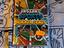 Immagine 5