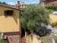 Immagine 7