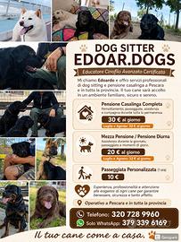 Dog Sitter zona arca Spoltore e pensione domicilio