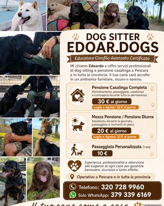 Dog Sitter zona arca Spoltore e pensione domicilio