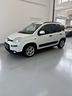 fiat-panda-1-0-firefly-s-s-hybrid-city-cross