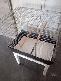 gabbia 43x62x57