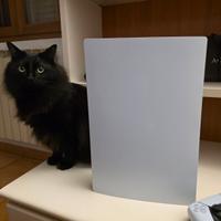 PlayStation 5 Digital - Come nuova