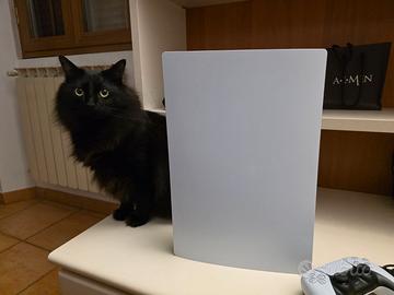 PlayStation 5 Digital - Come nuova