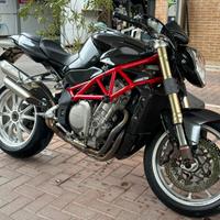 Mv agusta 910s gladio numerata