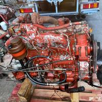 Motore iveco 115.17 135.17 145.17 8060.25