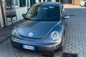 Volkswagen new beetle