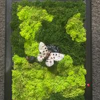 Quadro con il muschio stabilizzato