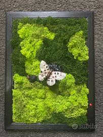 Quadro con il muschio stabilizzato