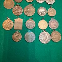 Medaglia adunata alpini