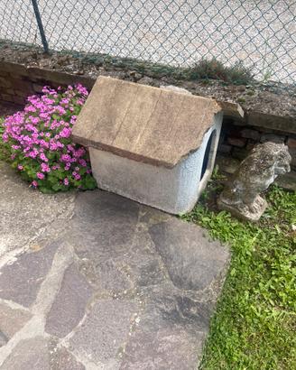 Cuccia per cane