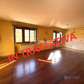 AMPIO TRILOCALE CON CORTE PAVIMENTATA