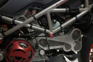 Copricinghie Monster s4/s4r