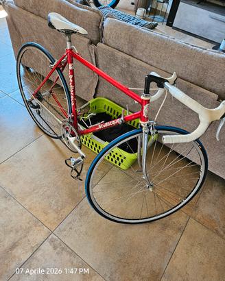 Bici da corsa BEVILACQUA (Taglia 53) - Acciaio COL