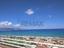 Immagine 11