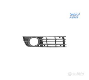 GRIGLIA FENDINEBBIA DCH AUDI A4 B6 00-04