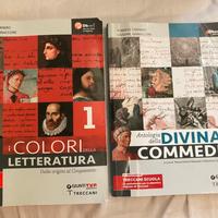 libro colori della letteratura + divina commedia